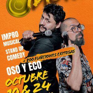 MODO IDIOTA